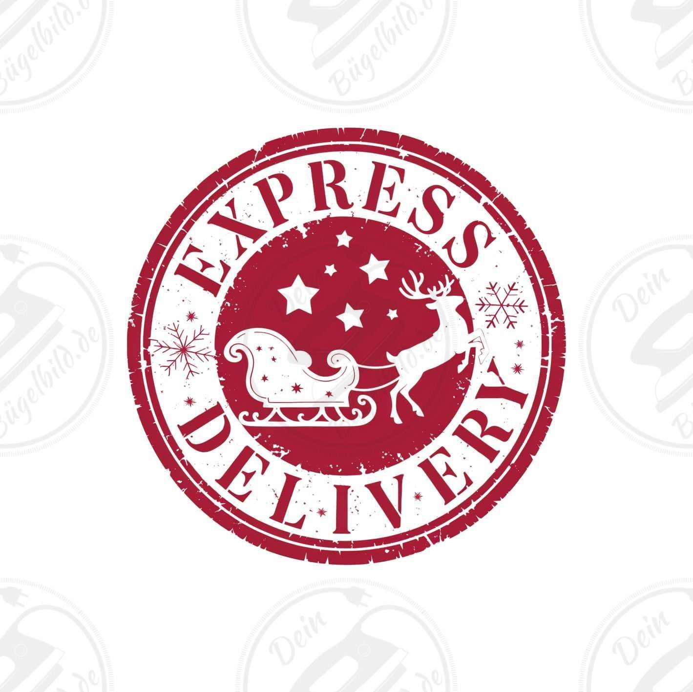 Bügelbild "Express delivery"